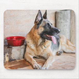 Mousepad Ovinos Alemães Descansados Por Bacia De Água
