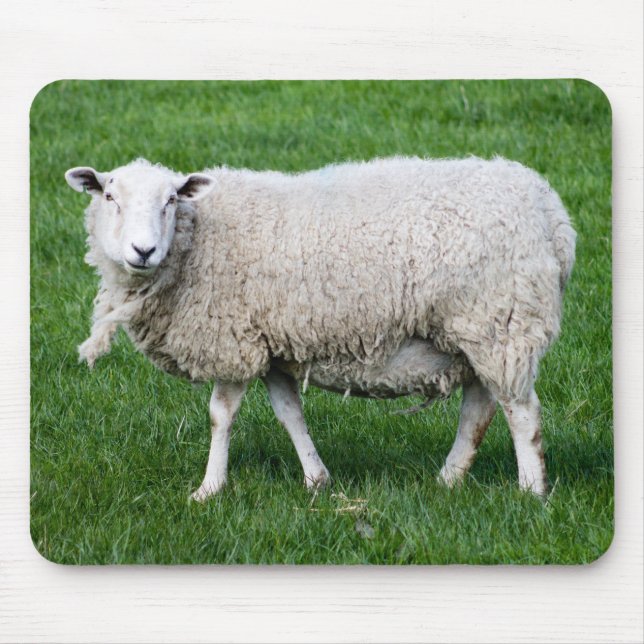 Mousepad Ovinos Bons (Frente)