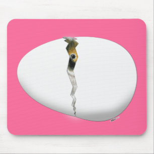 Mousepad Ovo de Incubação