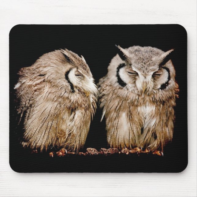Mousepad Owlets novos (Frente)
