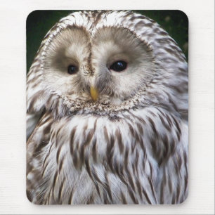 MOUSEPAD OWLS