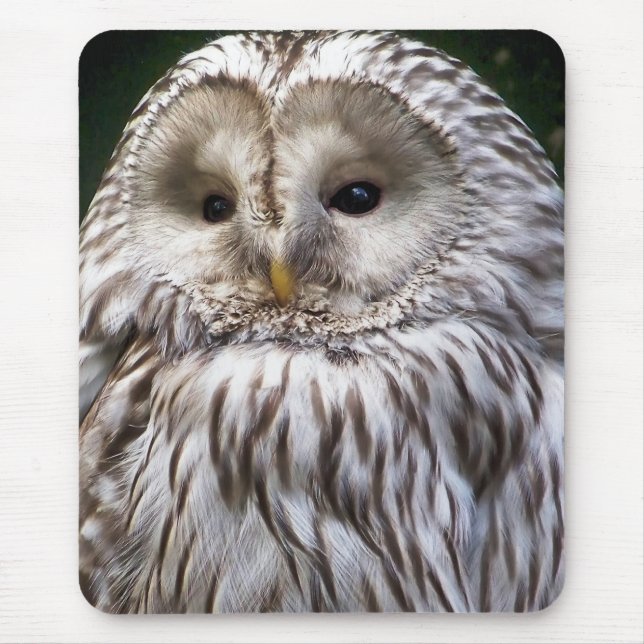 MOUSEPAD OWLS (Frente)