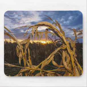 Mousepad Ozarks Harvest