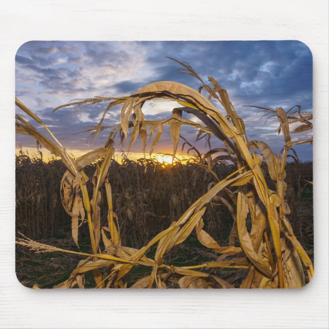 Mousepad Ozarks Harvest (Frente)