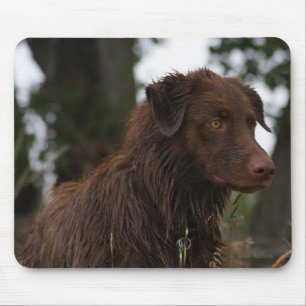 Mousepad P2 Cão Vermelho Sam Flatlandersam
