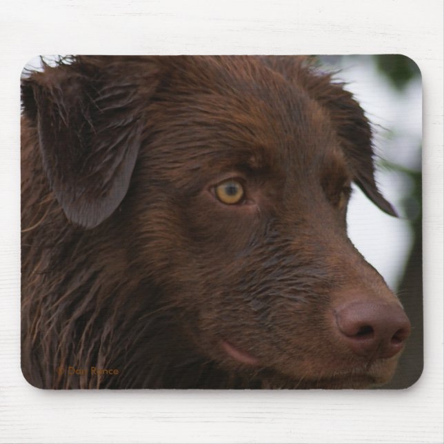Mousepad P2a Red Dog Sam Flatlandersam De Perto (Frente)