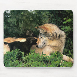 Mousepad p-Wolves_Bay_Street_Cal2001