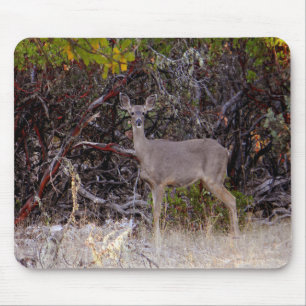 Mousepad Pacificamente....