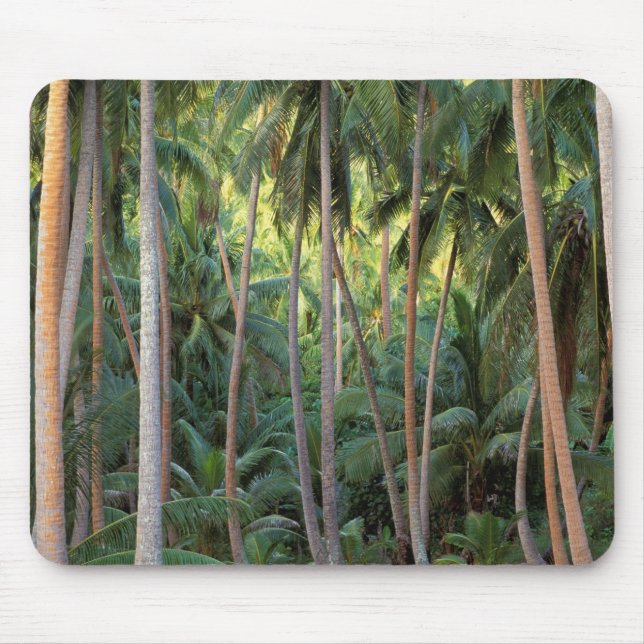 Mousepad Pacífico Sul, Polinésia Francesa, Bora Bora. (Frente)