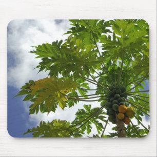 Mousepad Pacífico Sul, Polinésia Francesa, Moorea. 2