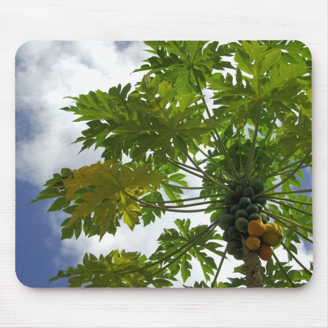 Mousepad Pacífico Sul, Polinésia Francesa, Moorea.2 (Frente)