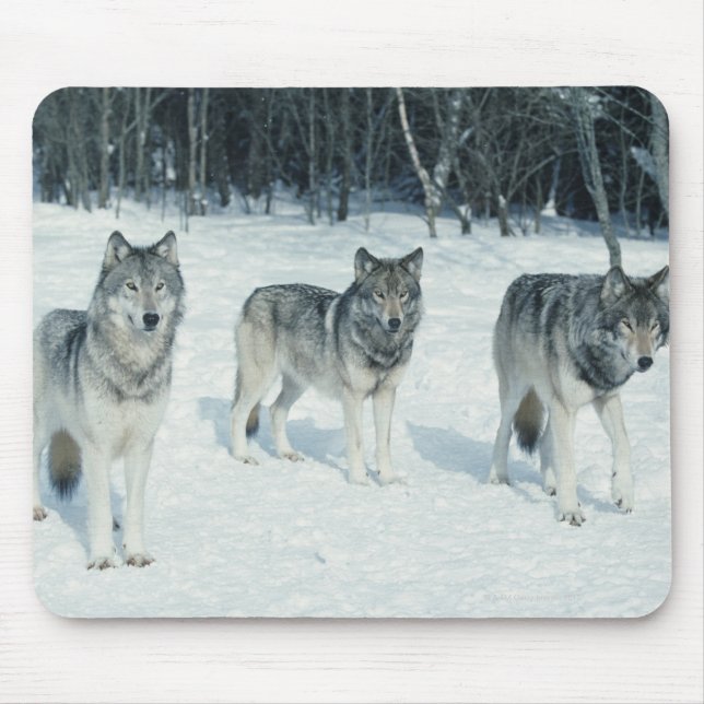 Mousepad Pacote de lobos na borda de neve (Frente)