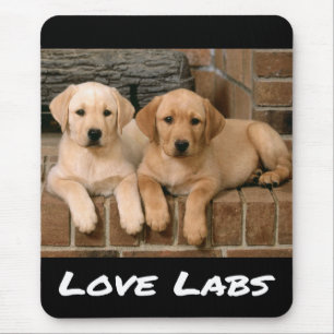 Mousepad Pad de Mouse Cachorro Amarelo Labrador Retriever
