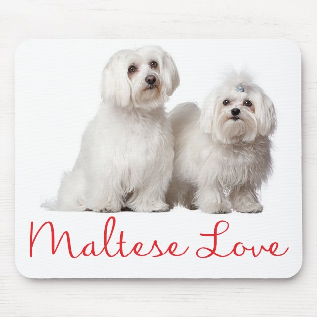 Mousepad Pad de Mouse Cachorro Branco Maltês (Frente)