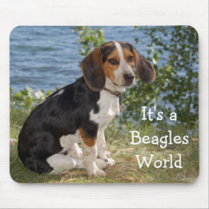 Mousepad Pad De Mouse De Cão De Beagle