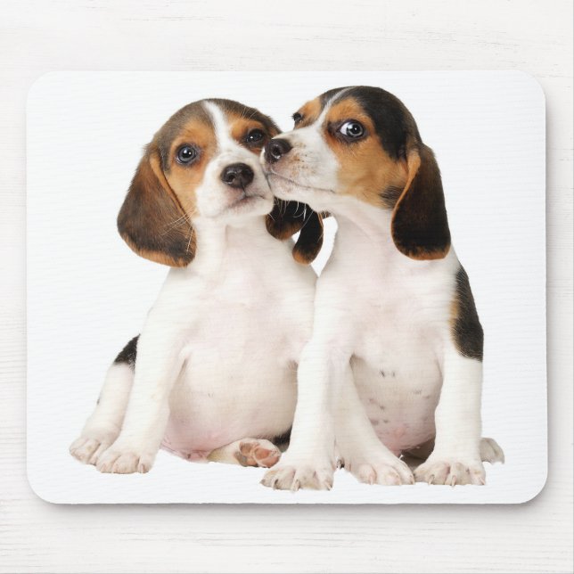 Mousepad Pad De Mouse De Cão De Beagle (Frente)
