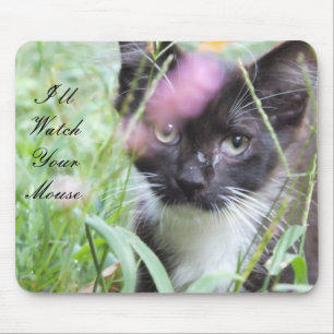 Mousepad Pad De Mouse De Kitten Preto E Branco