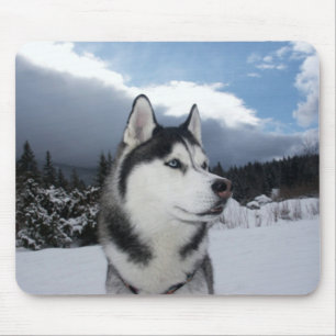 Mousepad Pad De Mouse De Neve De Inverno, Cachorro De Cacho