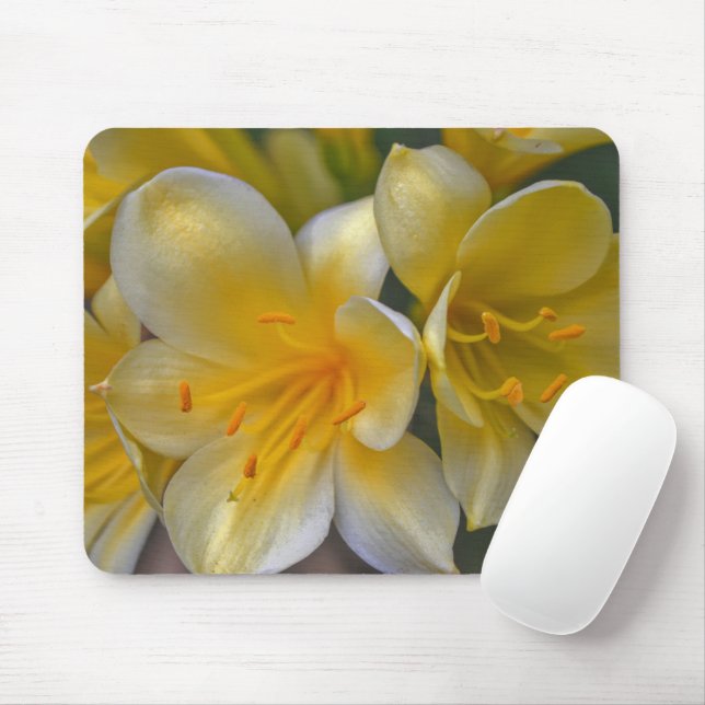 Mousepad Pad de Mouse Dourado Amarelo Flores de Lily Garden (Com mouse)