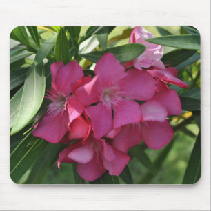 Mousepad Pad de Mouse Flor Rosa Frangipano