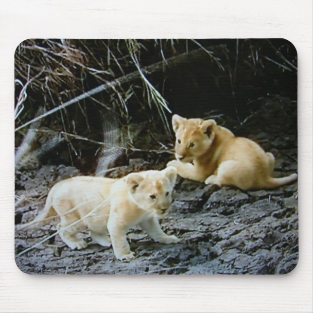 MOUSEPAD PÁD DE MOUSE "LION CUB BROTHERS FORA" (Frente)