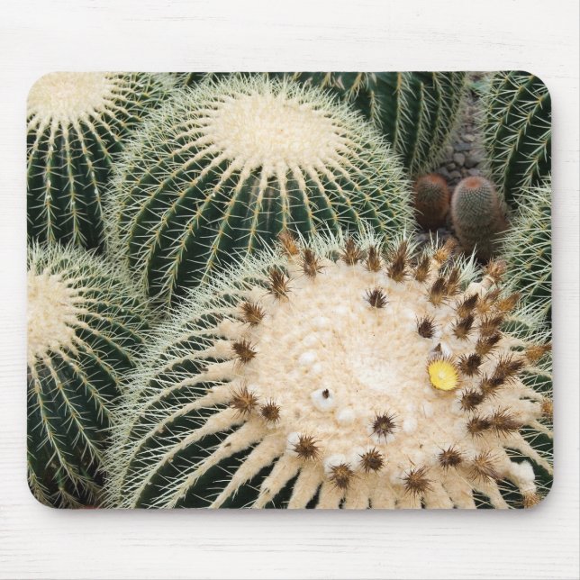 Mousepad Pad de Prickly (Frente)