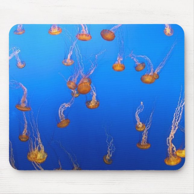 Mousepad Pad de Rato de Água-Viva Laranja (Frente)