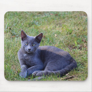 Mousepad Pad de Rato de Gato