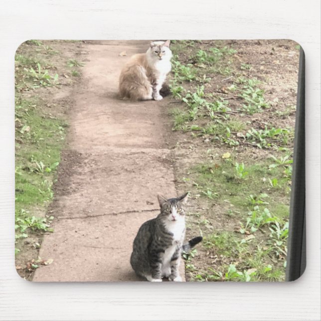 Mousepad Pad de Rato de Gato (Frente)