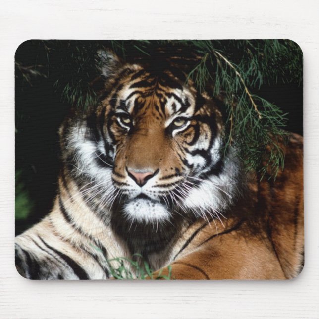 Mousepad Pad de Rato Grande (Frente)