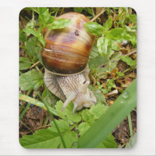 Mousepad Pad do mouse