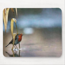 Mousepad Pad do mouse