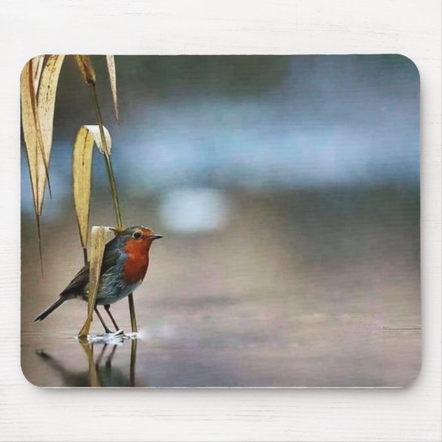 Mousepad Pad do mouse (Frente)