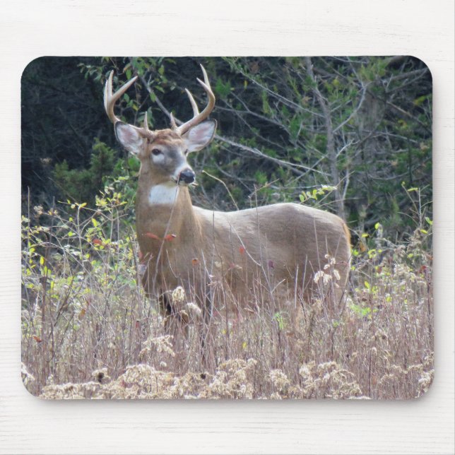 Mousepad Pad do mouse 9"x 8" (Frente)