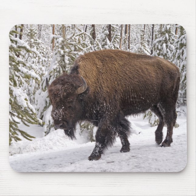 Mousepad Pad do mouse American Bison (Bison bison) (Frente)