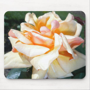 Mousepad Pad do mouse Apricot Rosa