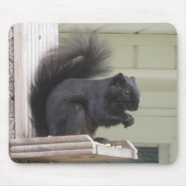 Mousepad Pad do mouse Black Squirrel (Frente)