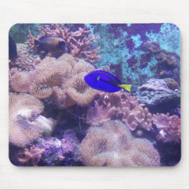 Mousepad Pad do mouse "Blue Hippo Tang Oasis"