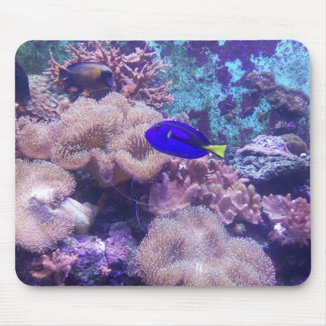 Mousepad Pad do mouse "Blue Hippo Tang Oasis" (Frente)