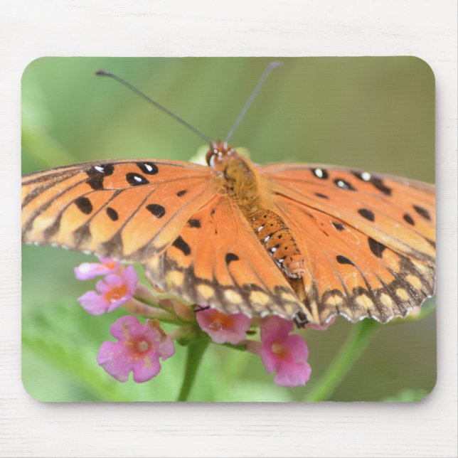 Mousepad Pad do mouse borboleta (Frente)