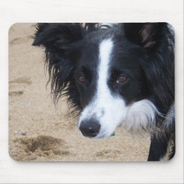 Mousepad Pad do Mouse Collie de Borda