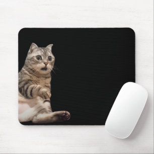 Mousepad Pad do Mouse com Memória de Gato Chocado