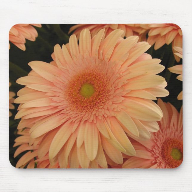 Mousepad Pad do mouse com ventilador rosa (Frente)