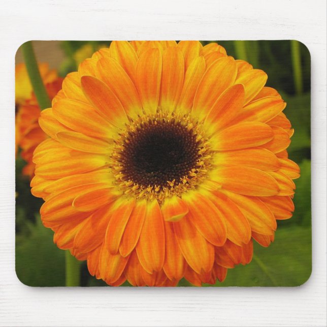 Mousepad Pad do mouse da Flor Laranja (Frente)