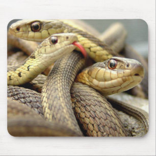 Mousepad Pad do mouse de Cobras muito Legal
