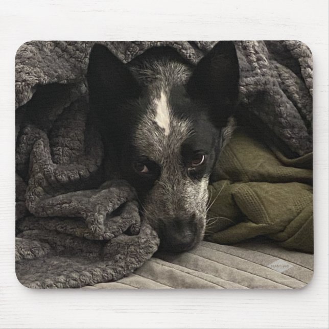 Mousepad Pad do mouse de foto - HAMbyWG (Frente)