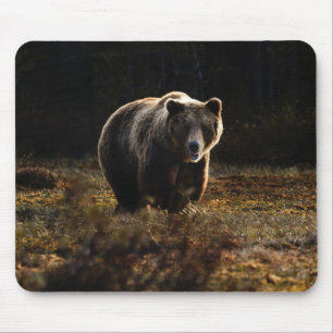 Mousepad Pad do mouse do urso