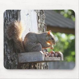 Mousepad Pad do mouse esquilo