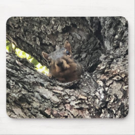 Mousepad Pad do mouse esquilo