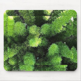 Mousepad Pad do mouse Fern verde